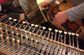 macro photo of nyckelharpa