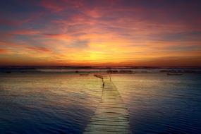 incredible landscape of Jetty on lake at Sunset