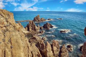 amazing Marine Reef