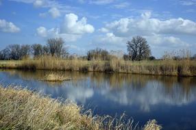 Beautiful landscape of the river, among the colorful reed and trees, with the reflections