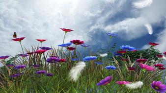 Spring Nature Flowers field