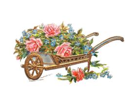 drawing of flowers on wheelbarrow