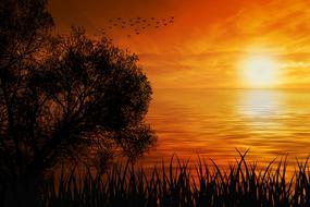 summer Sunset above calm water, digital art