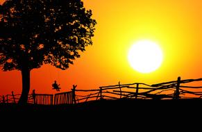 Child on Swing at Sunset