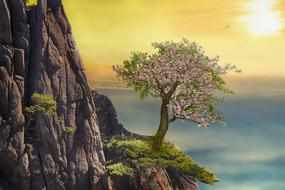 flowering tree on a rock as an illustration