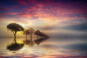 Beautiful and colorful trees in the water, with the reflections, at colorful and beautiful sky with the clouds