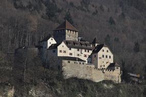 photo of a castle on a rock in Liechtenstein