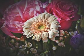 bouquet with gerbera and roses