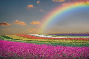 enchanting Spring Landscape