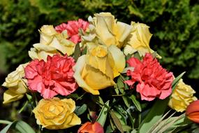 bouquet of flowers with roses and carnations