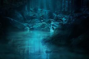 enchanting Forest Waterfall