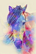painted multi-colored horse head