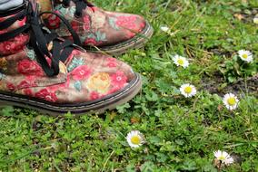 colorful boots on grass beside of Daisies