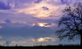 romantic purple sky after sunset