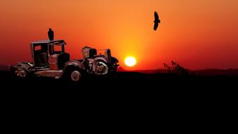 bird over the old car at sunset