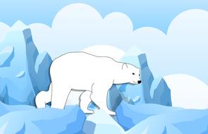 bear polar antarctica drawing
