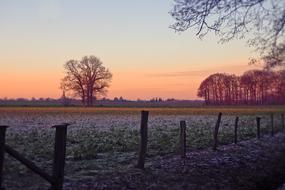 pasture on a background of pink sunset