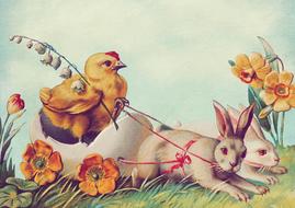 vintage easter bunny chicks drawing