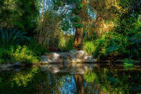 landscape of Pond in Peaceful Nature