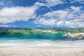 gorgeous Beach Wave
