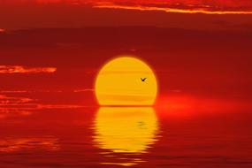 Sunset at red Sea