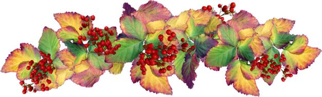 painted colorful leaves and red berries