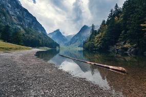 long log on the surface of a mountain lake in the Alps