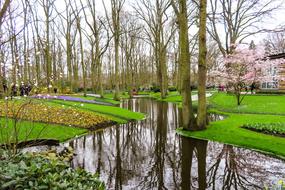 Beautiful landscape of the yellow and green garden with pond, trees and daffodils