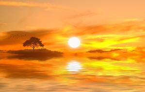 Sunset Horizon sun