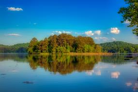 trees on an island near the lake