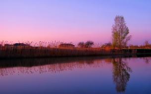 Beautiful landscape of the shore of the river, with the plants, in the village, at beautiful, colorful, gradient sunrise