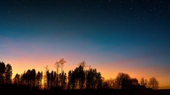 Night Sky over Trees