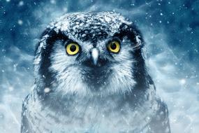 Owl face with yellow Eyes