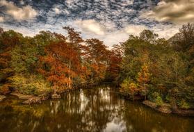 Beautiful Mississippi, among the colorful and beautiful cypress trees, under the cloudy sky