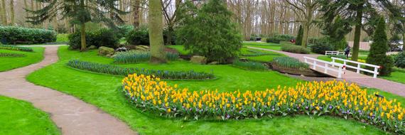 Nature Garden