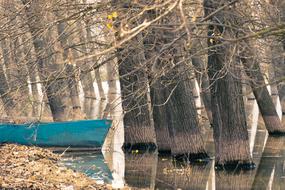 Blue, wooden boat, on the beautiful lake, with the trees, and colorful leaves