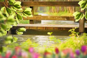 wooden bridge over the river in spring close up