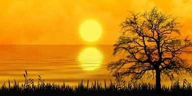 fantastic yellow sunset