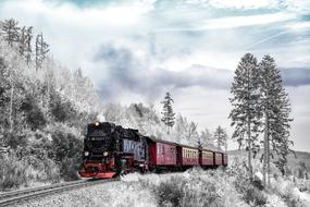 photo of a moving locomotive in a winter mountain forest