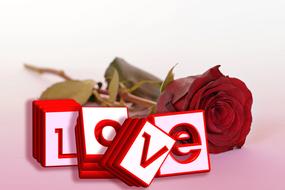 Red Rose and text love
