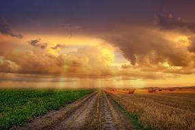 Beautiful landscape with the green and yellow fields at colorful sunset in clouds