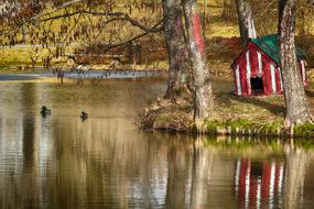 children's house by the lake and ducks