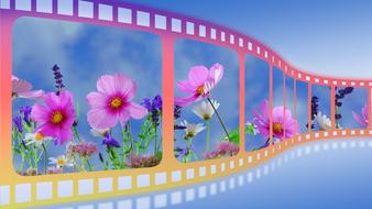 colorful flowers on film strip, collage