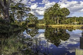 reflection of a green forest in a river