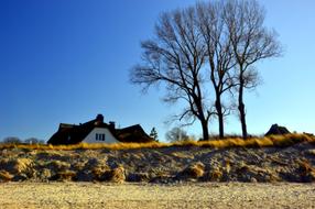 Dune Landscape Coast