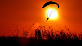 Silhouette of a paraglider on the parachute, above the silhouettes of the grass, at colorful and beautiful sunset
