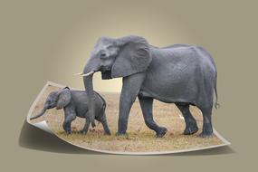 3D image of an elephant and a baby elephant in the photo