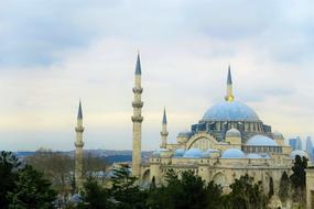 Beautiful SÃ¼leymaniye Cami among the colorful trees in Istanbul, Turkey