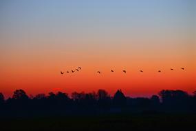 Dawn Sunrise Early