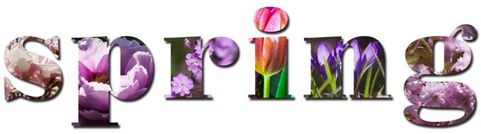 spring text drawing